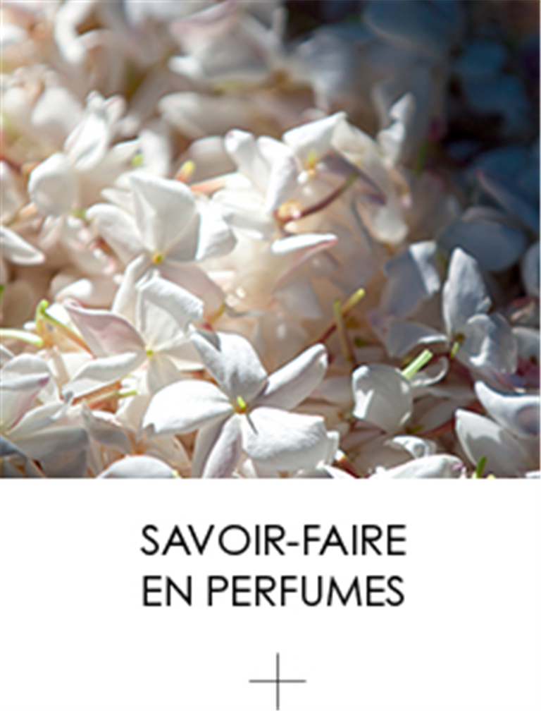 Dior Savoir-Faire Perfumeria 1