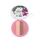 TALK TO THE FLOWERS BLUSH PALETTE